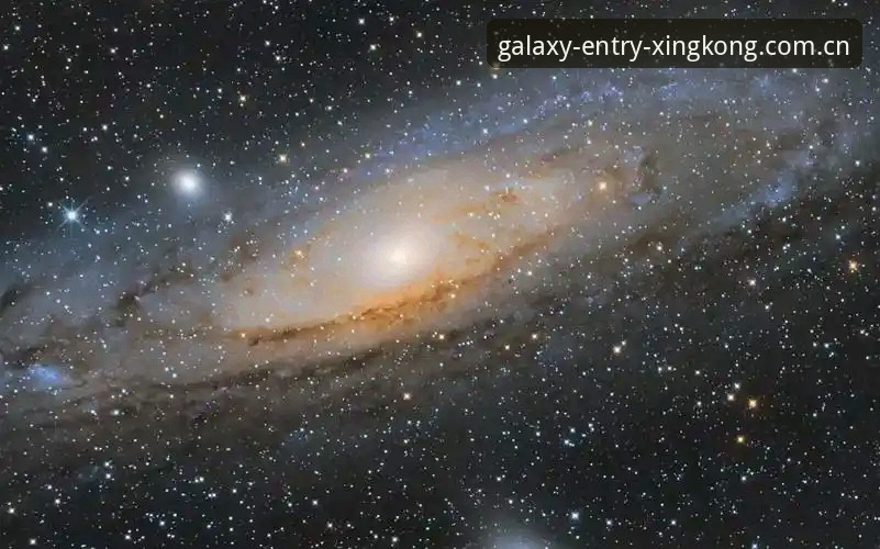 3分钟搞定星空平台入口：2024新版下载、故障排查与赛程数据实时查看