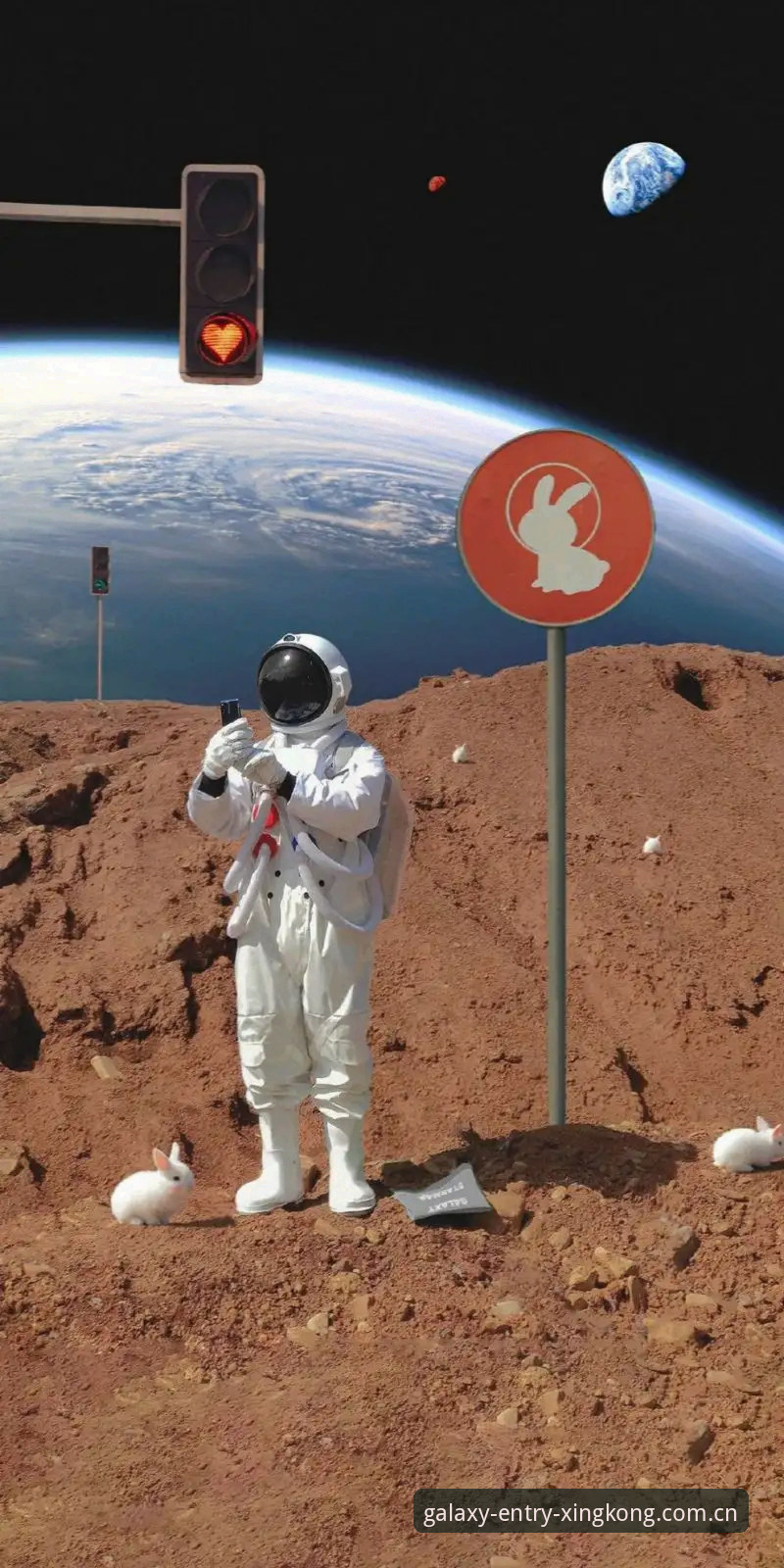 星空入口赛程数据最新动态：2024独一版本实测数据首度公开，解决率超97%